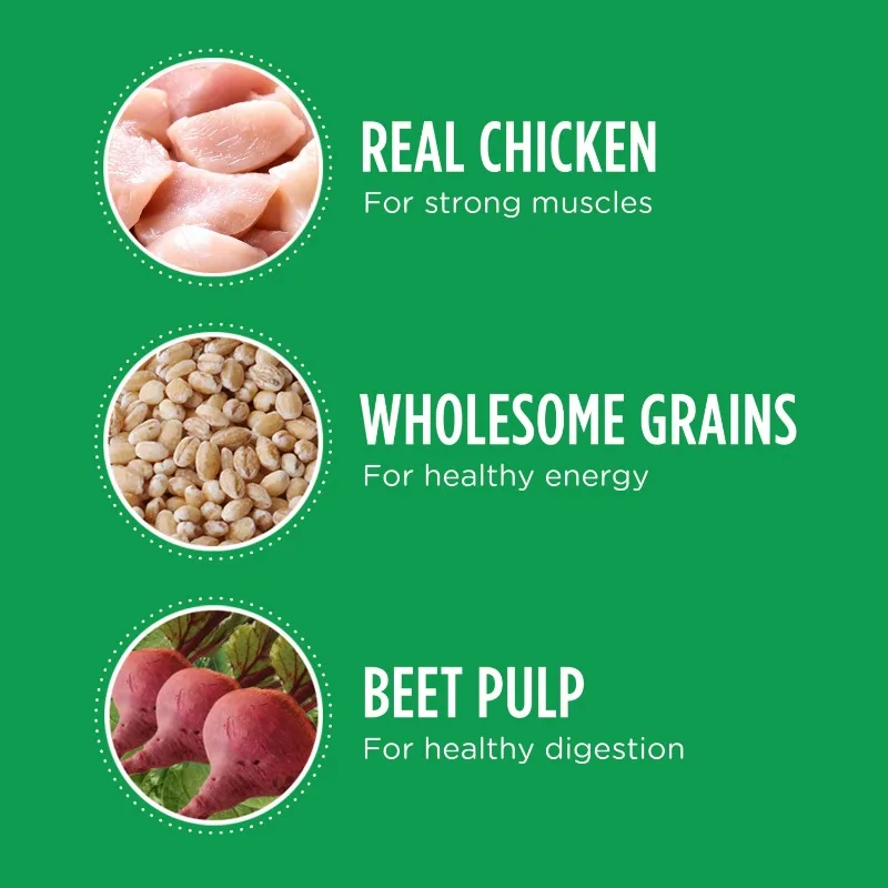 High Protein with Real Chicken Flavor Dry Dog Food for Large Breed Adult Dog, 30 lb. Bag - Image 4