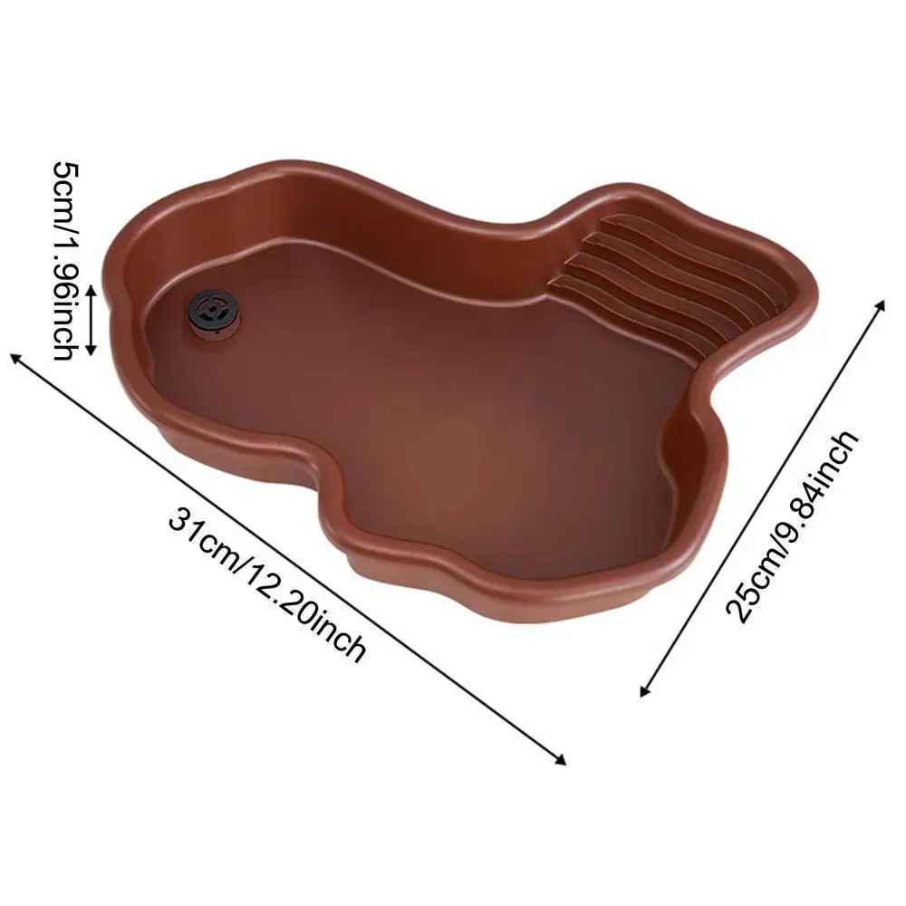 Turtle Feeding Dish - Image 7