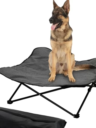 Portable Folding Elevated Dog Bed