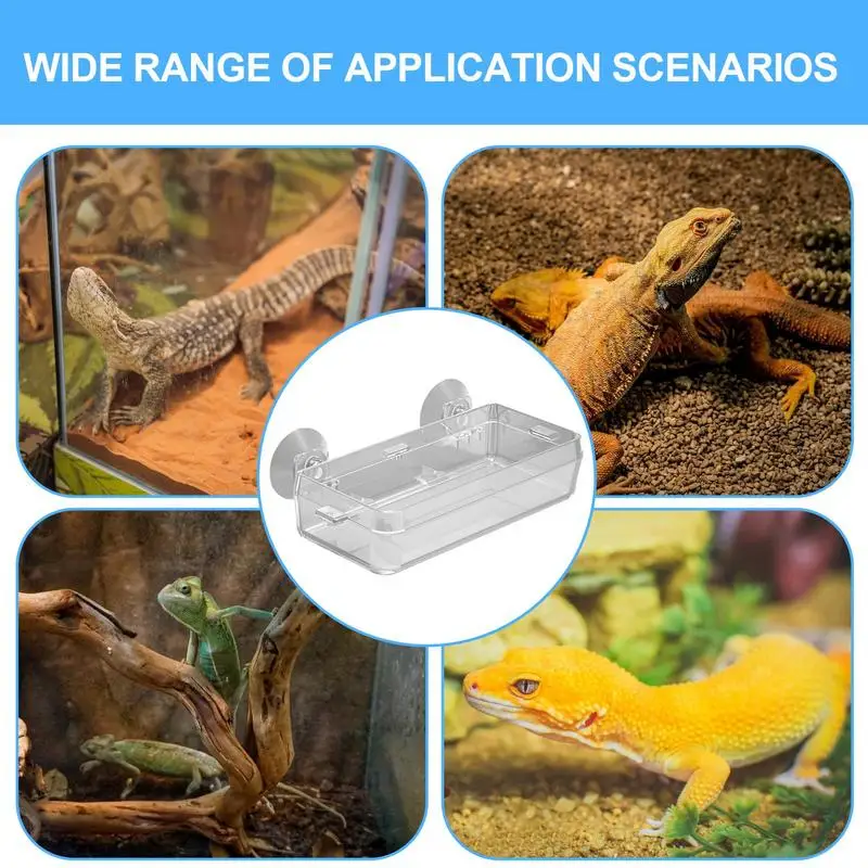 Reptile Food Dish Bowl - Image 5