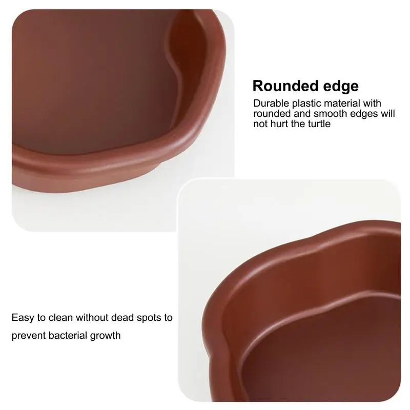 Turtle Feeding Dish - Image 2