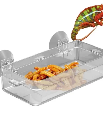 Reptile Food Dish Bowl