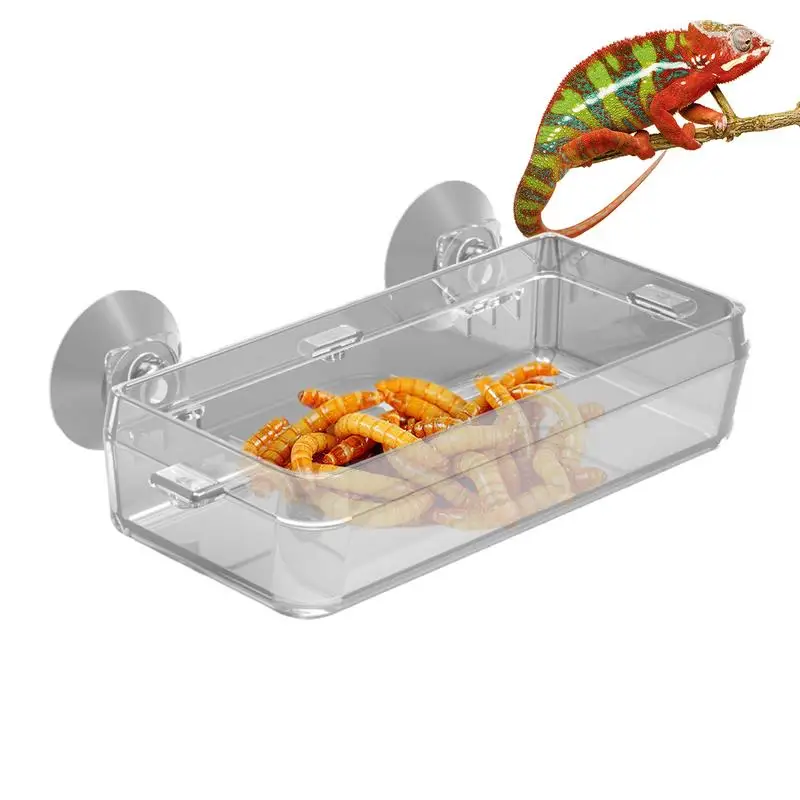 Reptile Food Dish Bowl