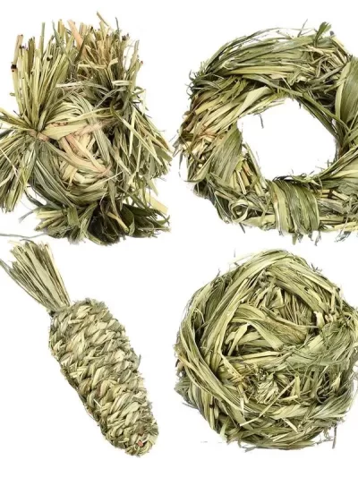 Grass Ball Teeth Grinding Toy