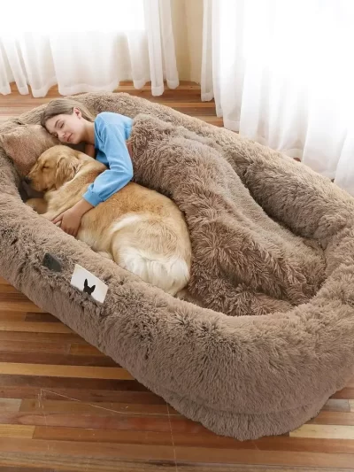 Washable Dog Beds for Humans