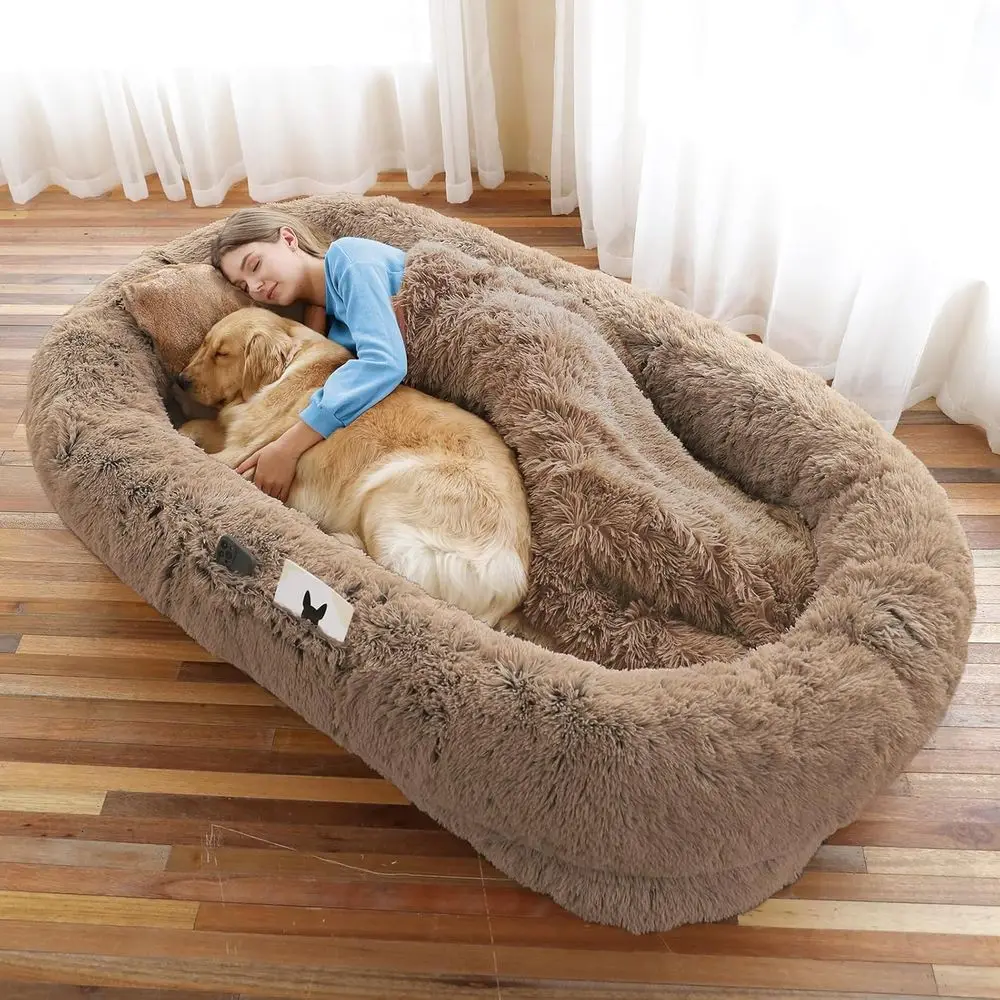 Washable Dog Beds for Humans