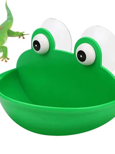 Frog Dish Holder