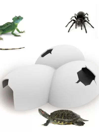 Egg Shape Simulation Rock Cave