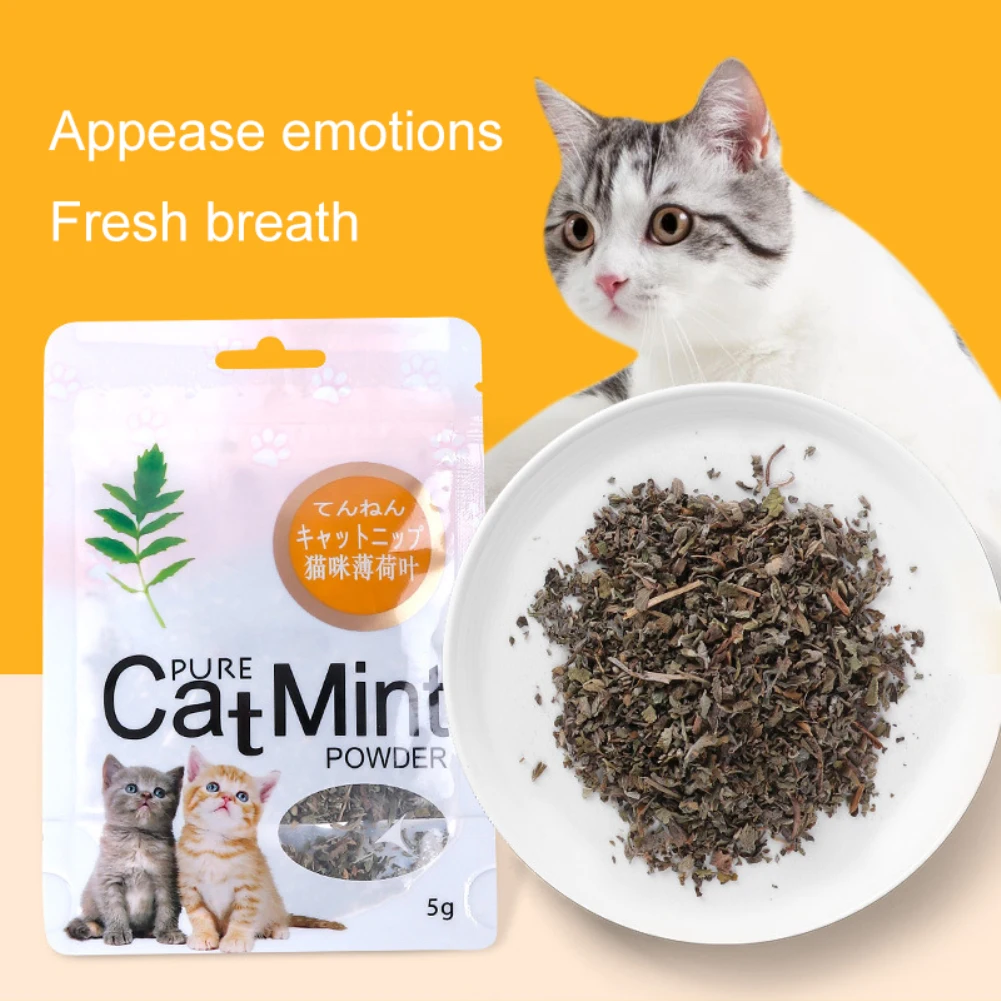 100% Natural Catnip - Image 3