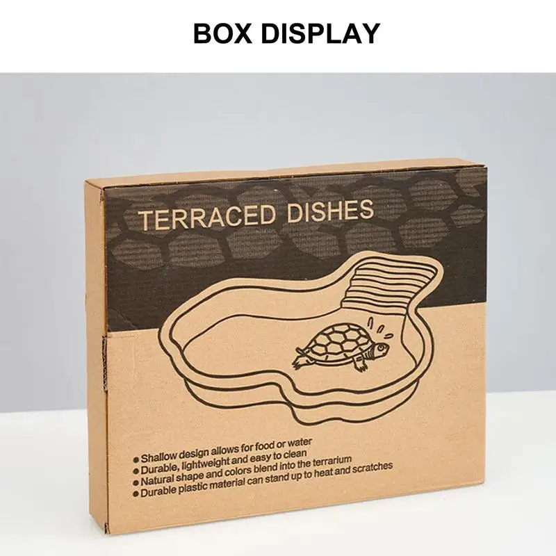 Turtle Feeding Dish - Image 3