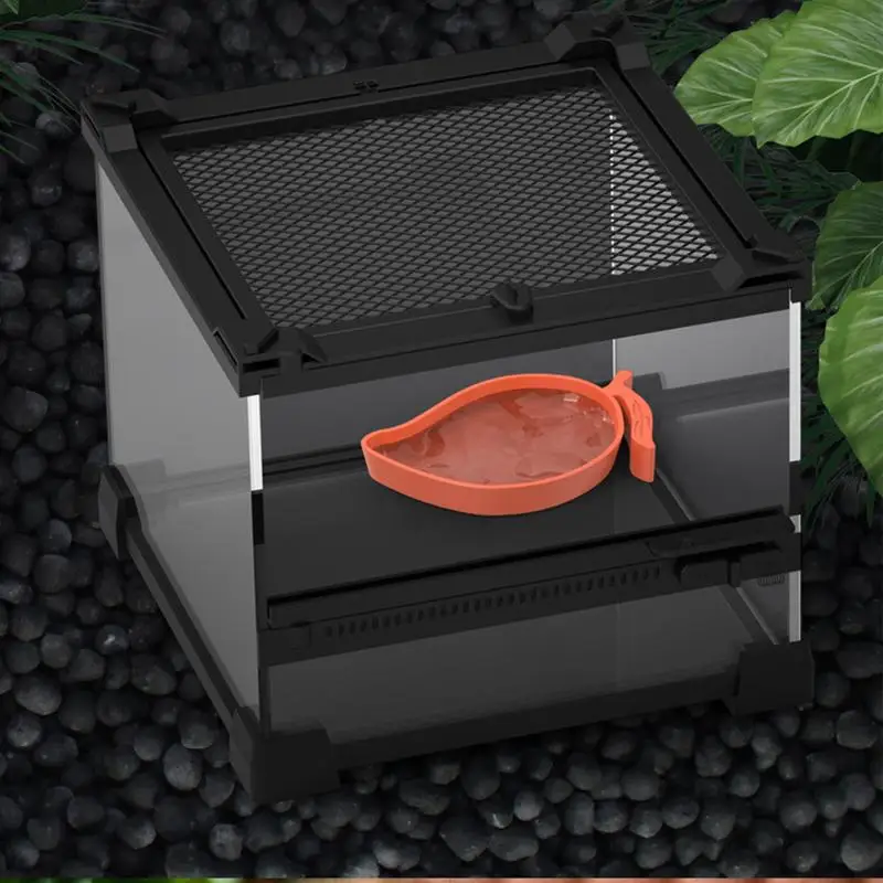 Mango Shape Reptile Feeder - Image 4