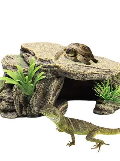 Turtle Reptile Habitat Hiding Caves