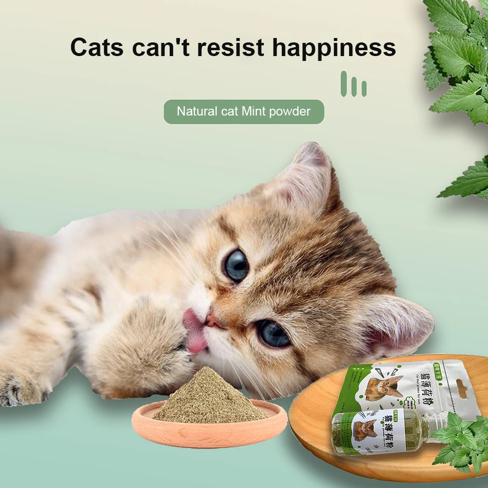 100% Natural Catnip - Image 4