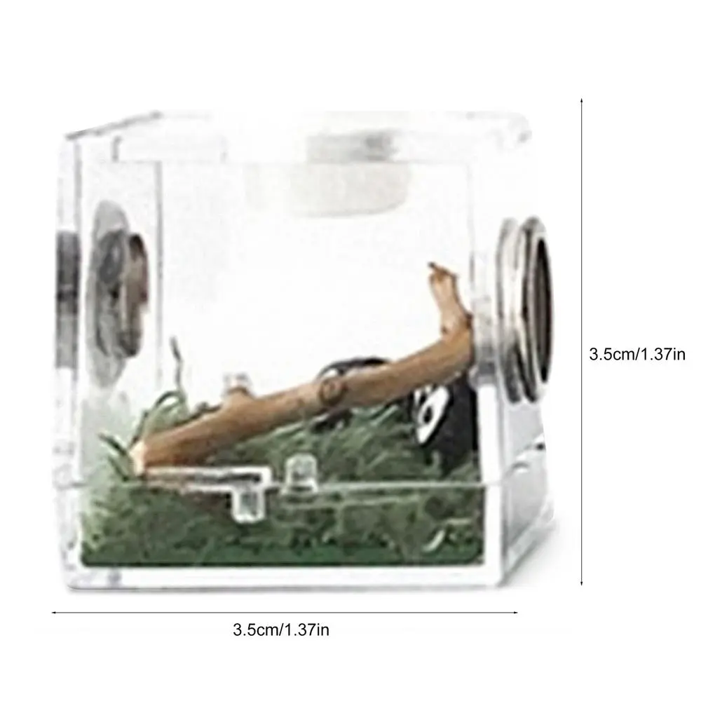 Mini Reptiles Breeding Box - Image 9