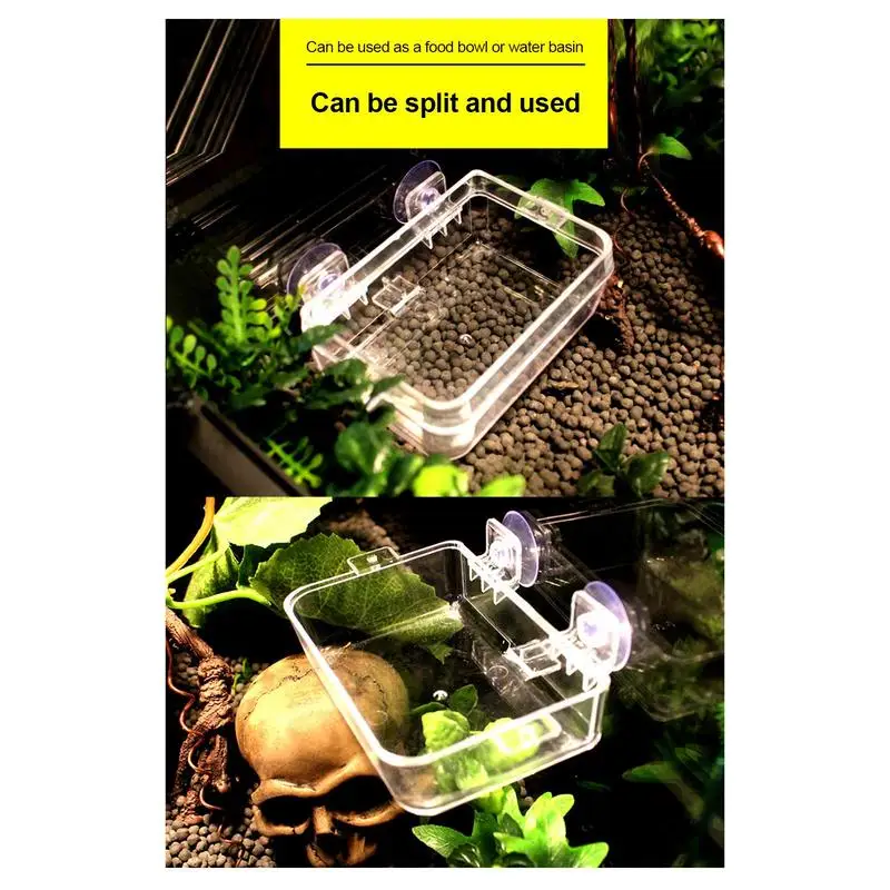 Reptile Food Dish Bowl - Image 4