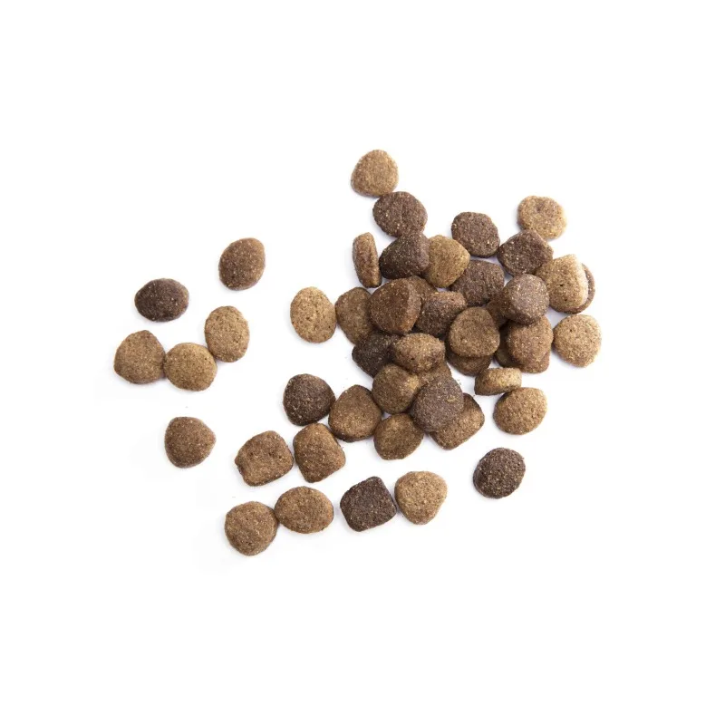 High Protein with Real Chicken Flavor Dry Dog Food for Large Breed Adult Dog, 30 lb. Bag - Image 3