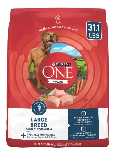 Purina One +Plus Dry Dog Food for Large Adult Dogs High Protein, Real Chicken, 31.1 lb Bag