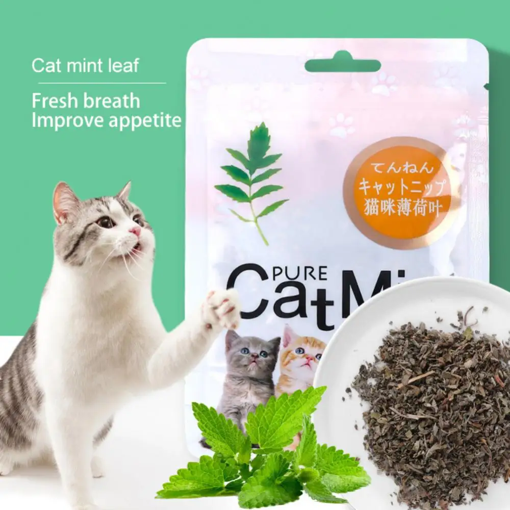 100% Natural Catnip