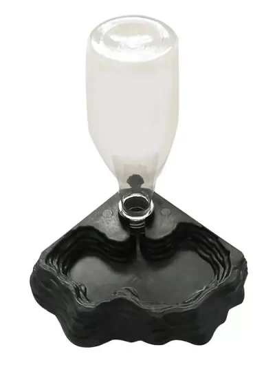 Pet Reptiles Turtles Feeder