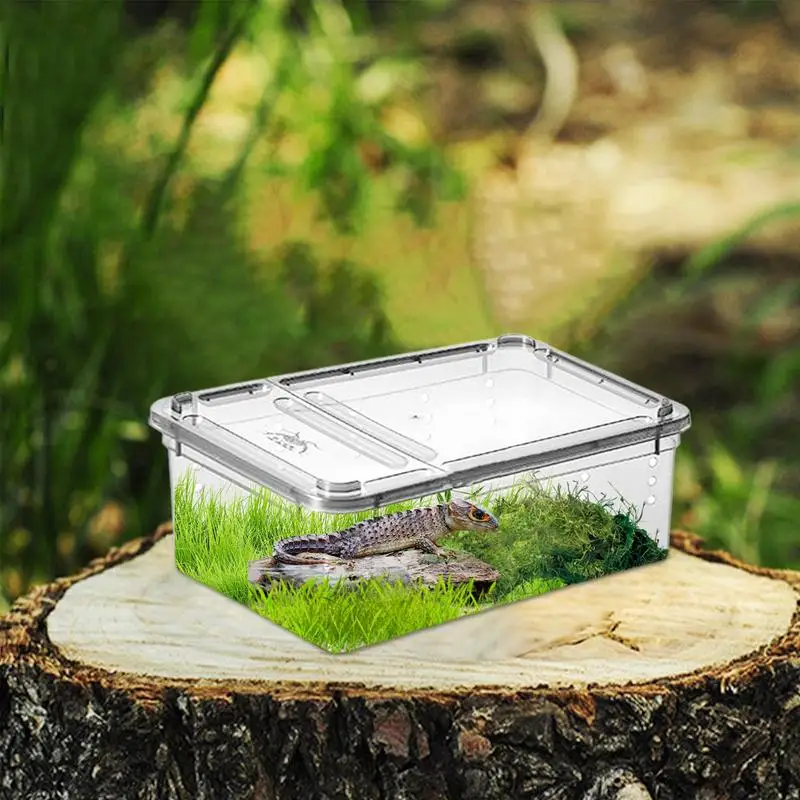 Terrarium For Reptiles - Image 2