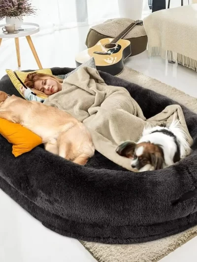 Orthopedic Human Dog Bed