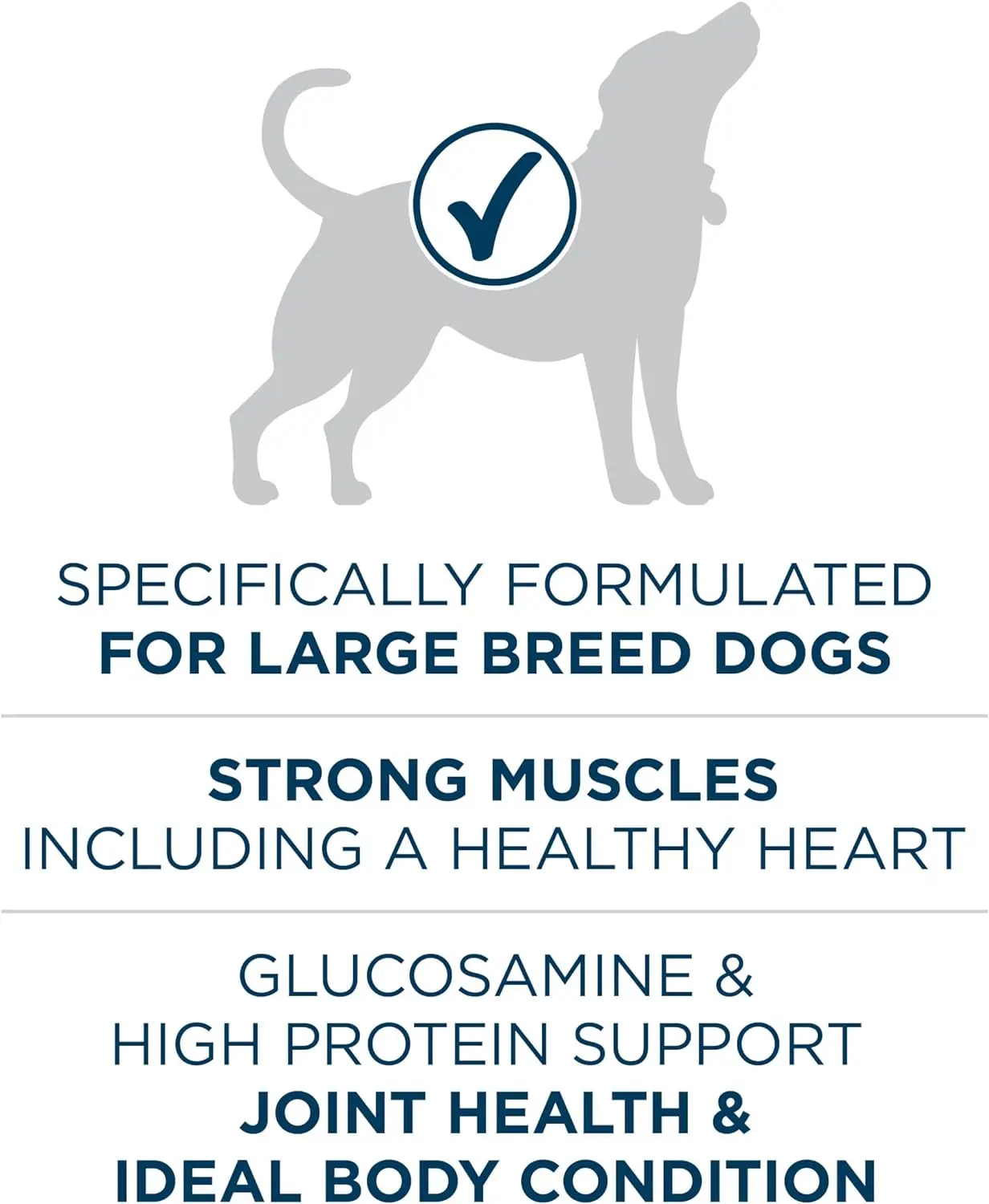 Plus Large Breed Adult Dog Food Dry Formula - 40 lb. Bag - Image 3