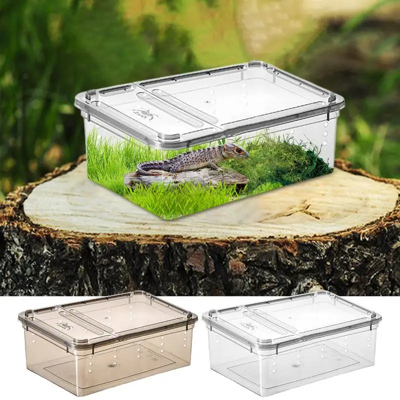 Terrarium For Reptiles
