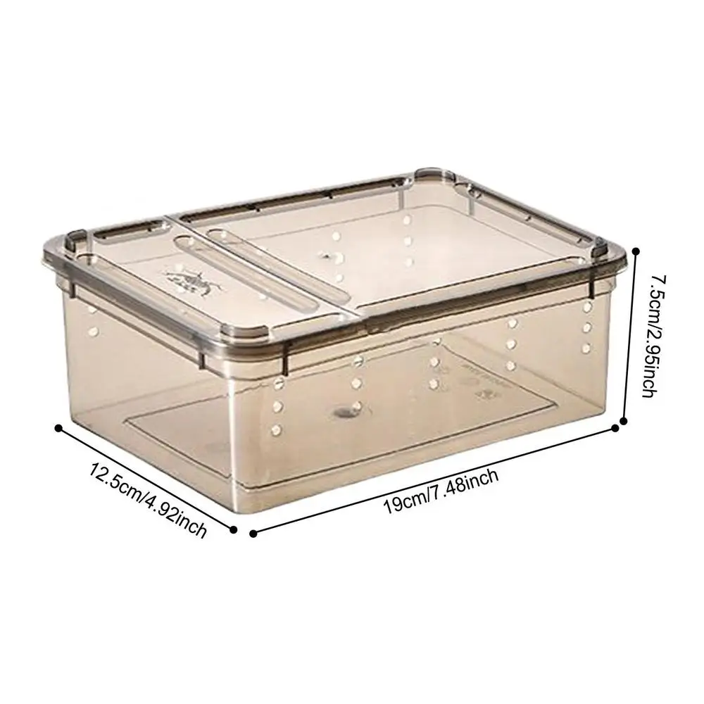 Reptile Feeding Box - Image 7