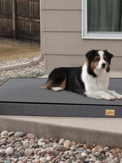Washable Waterproof Dog Mattress