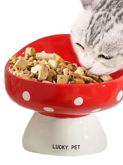 Cat Elevated Food Bowl