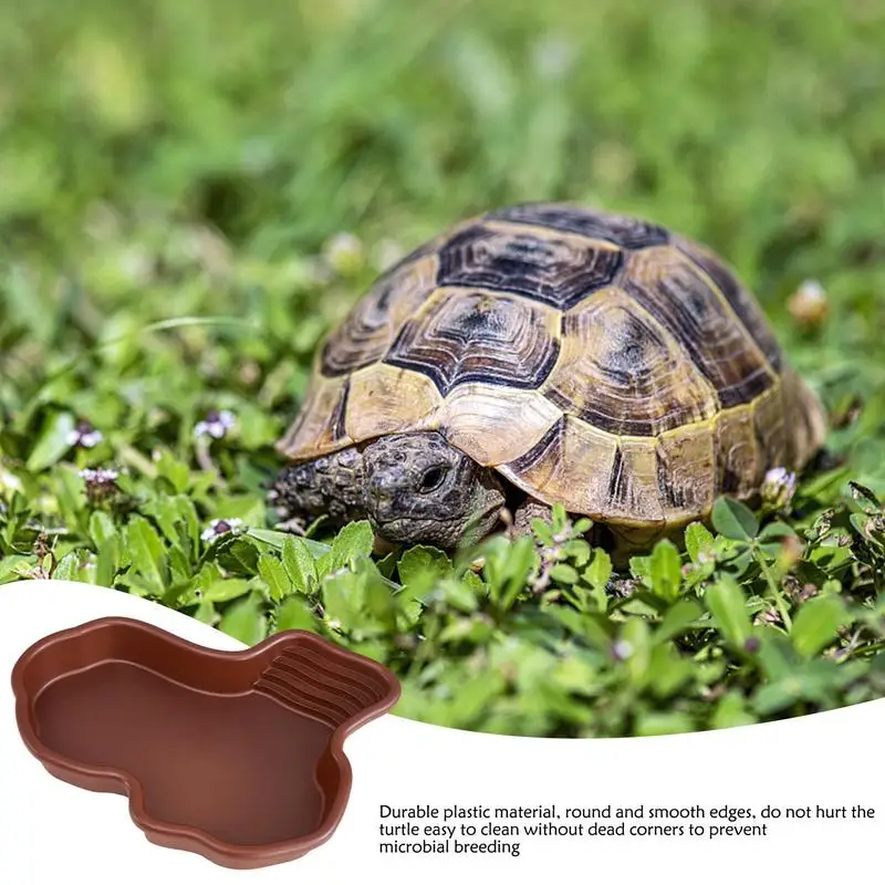 Turtle Feeding Dish - Image 5