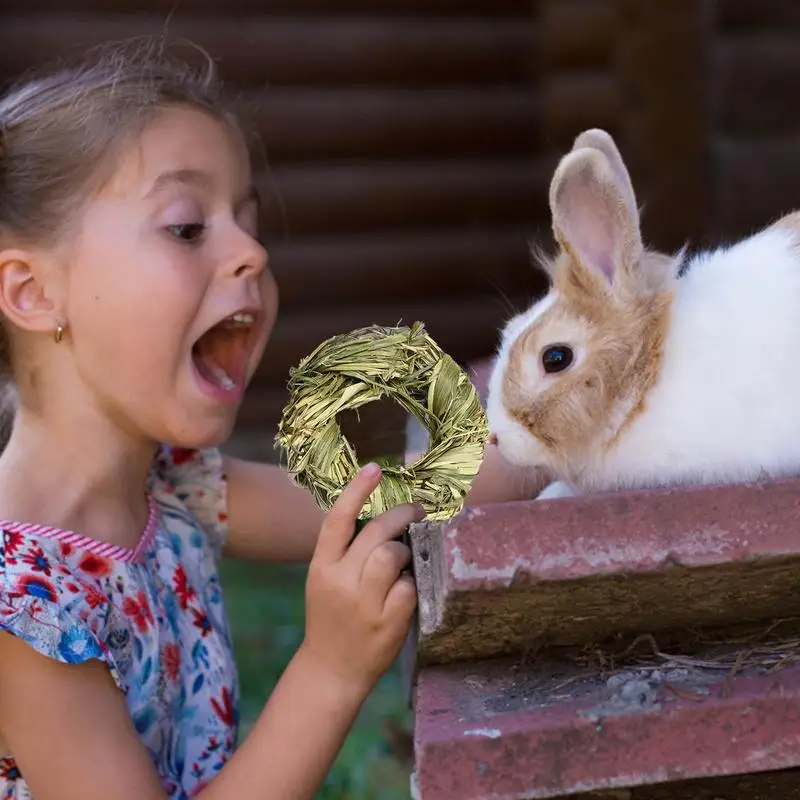 Grass Ball Teeth Grinding Toy - Image 6