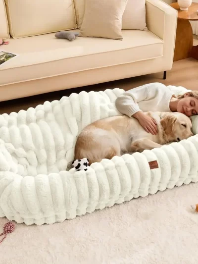 Luxury Orthopedic Human Dog Bed