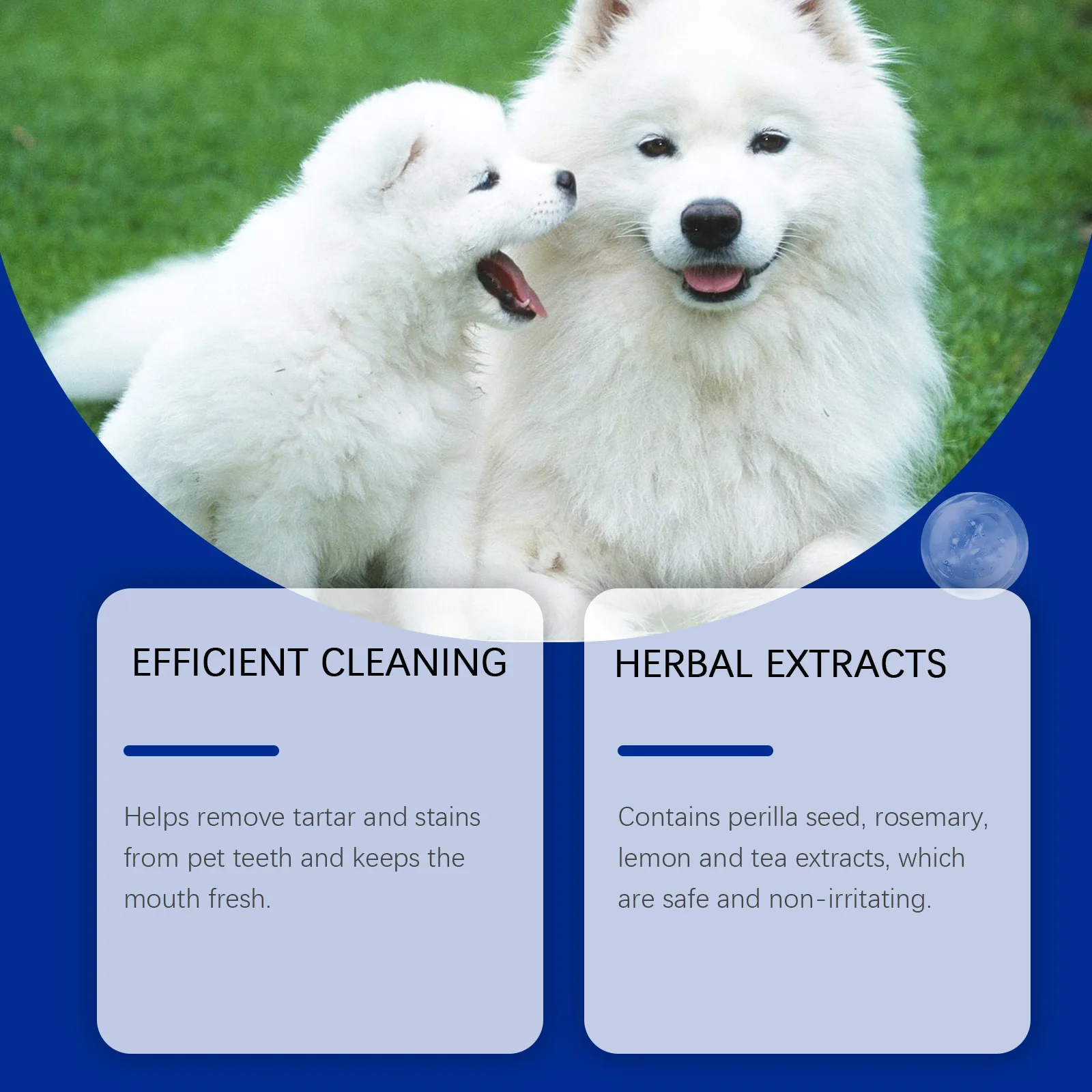 Dog Teeth Cleaning Powder - Image 3