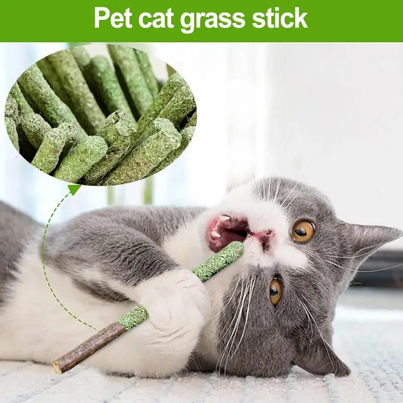 8pcs Natural Cat Stick Teeth Cleaning - Image 5