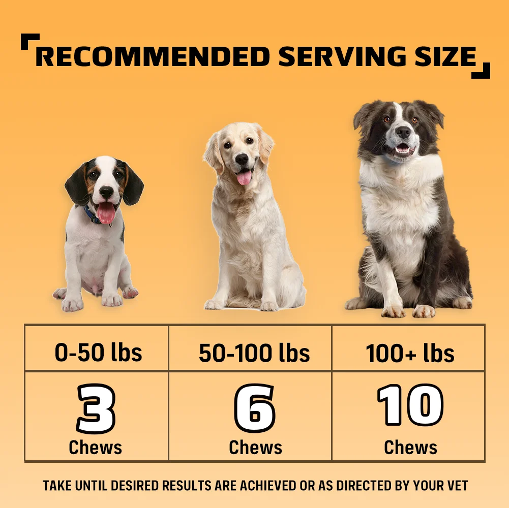 NUTRIDOG Dog Allergy Itch Relief Chews - Image 10