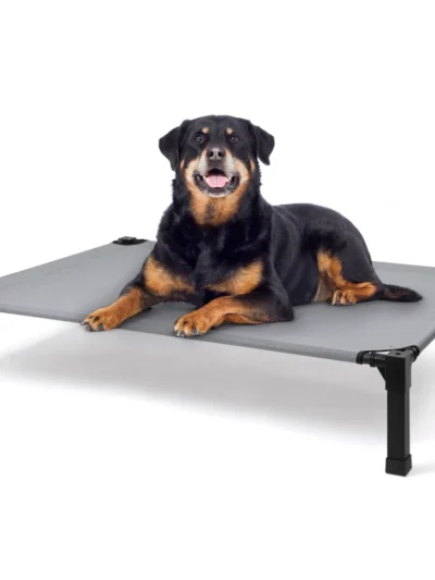 Elevated Dog Bed, Cooling