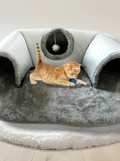 3-in-1 Cozy Cat Tunnel Bed