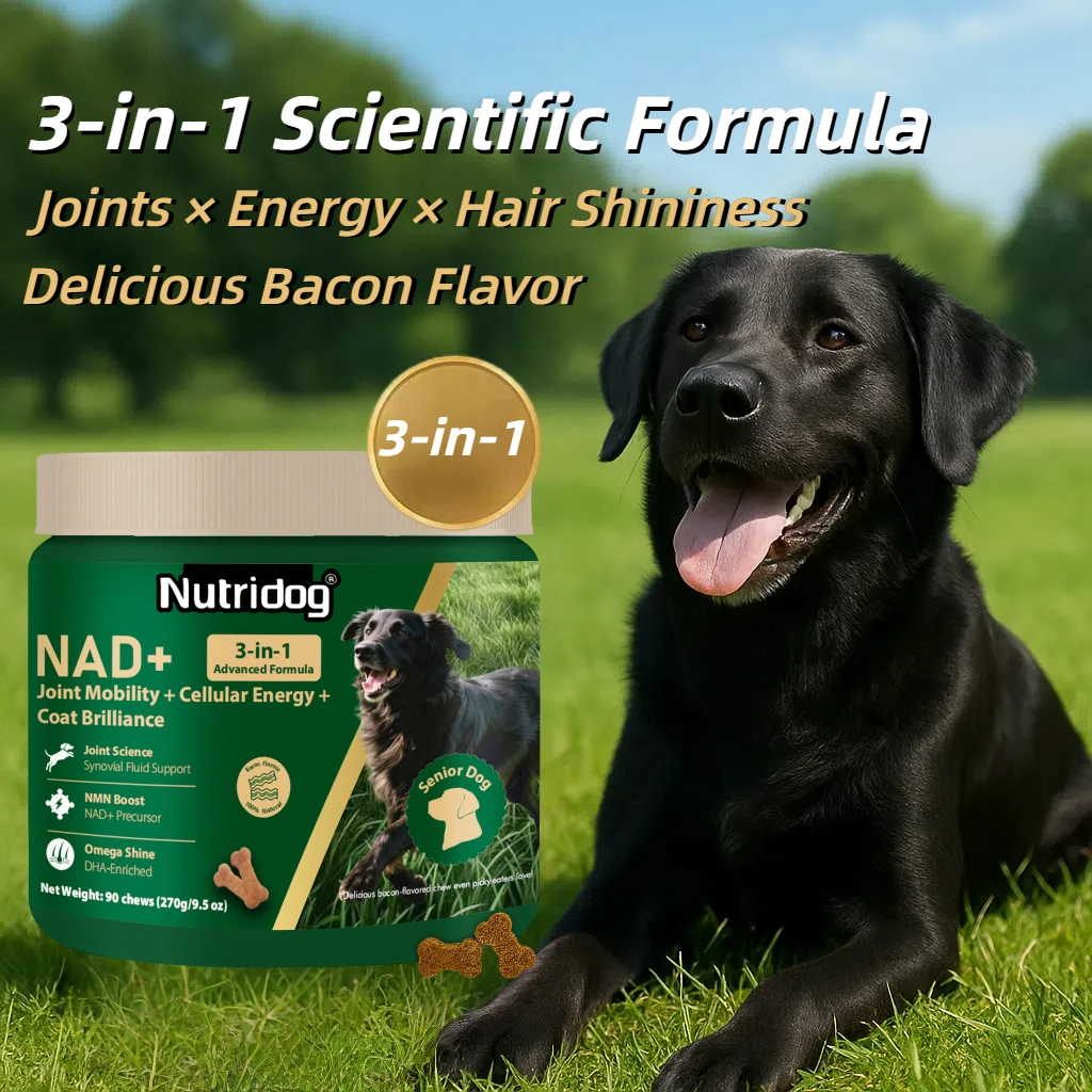 NUTRIDOG Senior Dog Vitamins Chews
