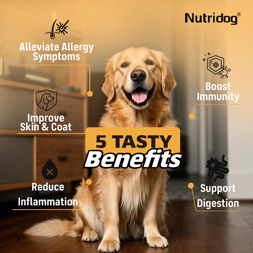 NUTRIDOG Dog Allergy Itch Relief Chews - Image 8