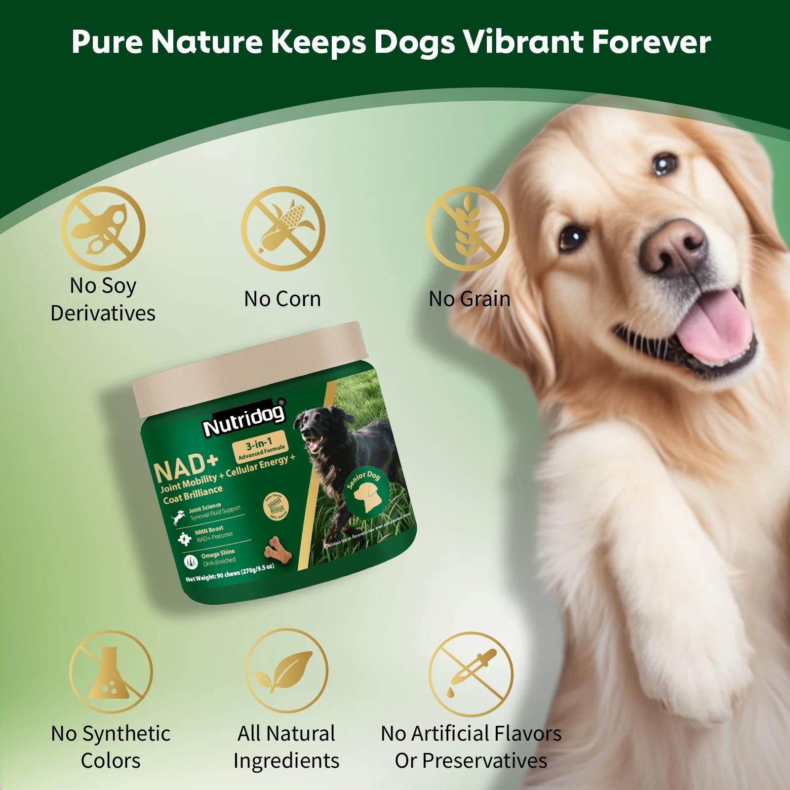 NUTRIDOG Senior Dog Vitamins Chews - Image 7