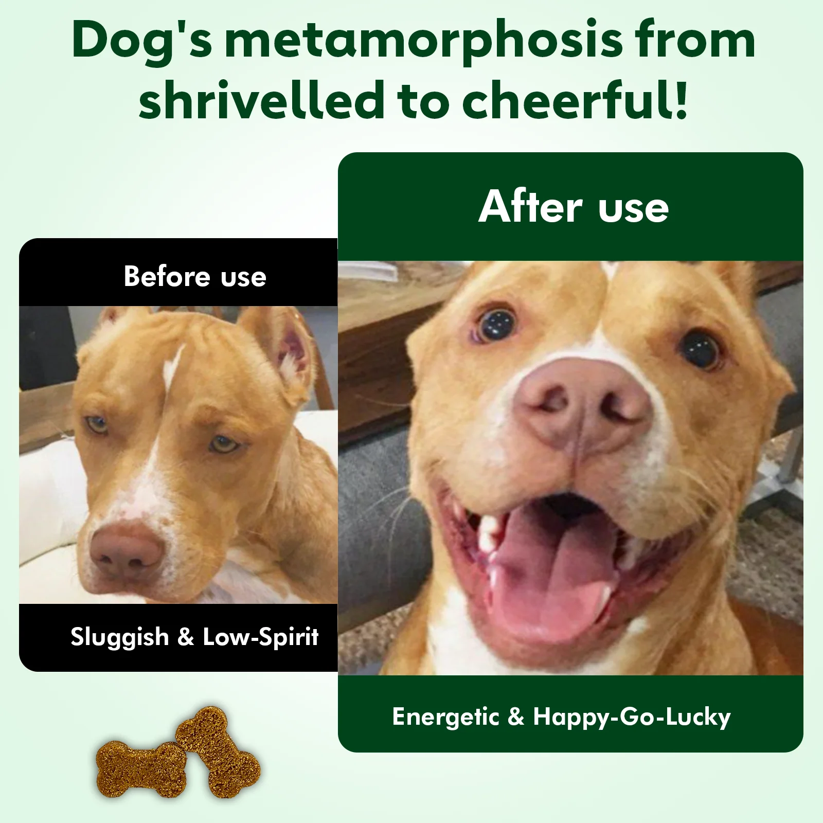 NUTRIDOG Senior Dog Vitamins Chews - Image 10