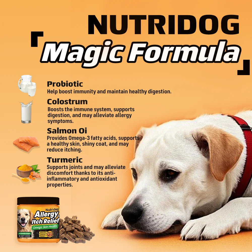 NUTRIDOG Dog Allergy Itch Relief Chews - Image 4