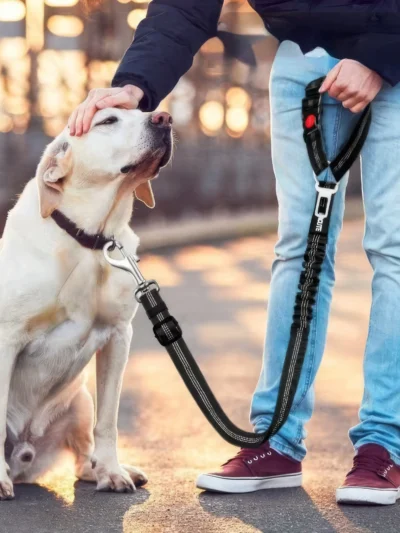 Pet Car Safety Rope, Anti Slip Buckle