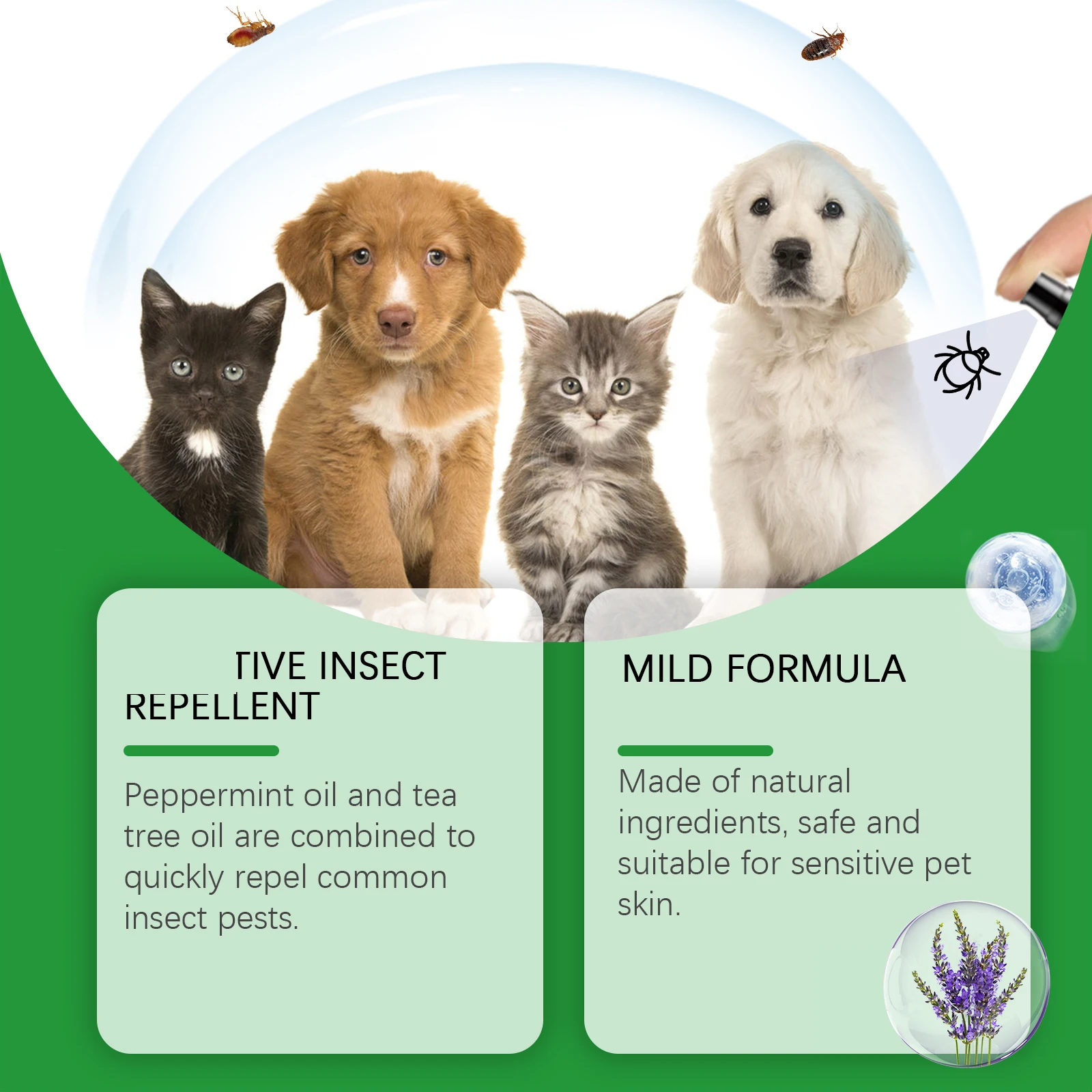 Yegbong Pet Insect Repellent Spray - Image 2