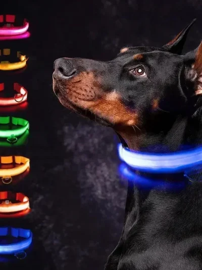 LED Glowing Dog Collar Adjustable Flashing