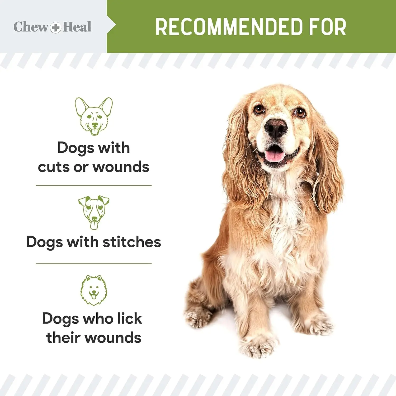 Pet Liquid Bandage with Aloe - Image 3