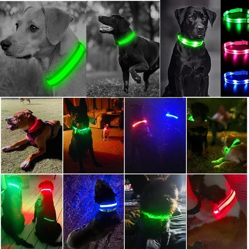 LED Glowing Dog Collar Adjustable Flashing - Image 20