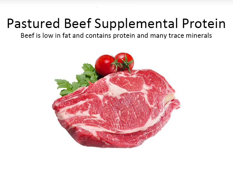 Dog Snacks Teething Stick - Image 7