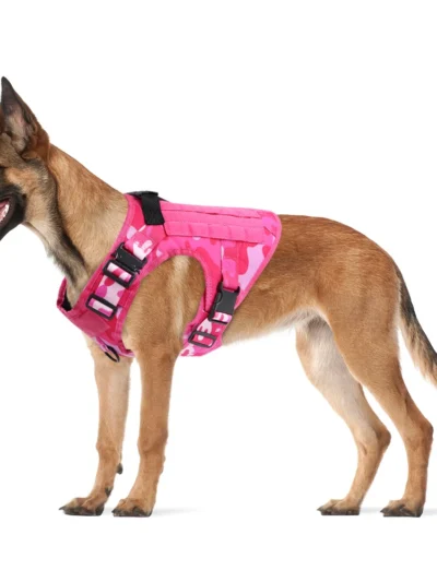 Military Pink Camouflage Dog Harness